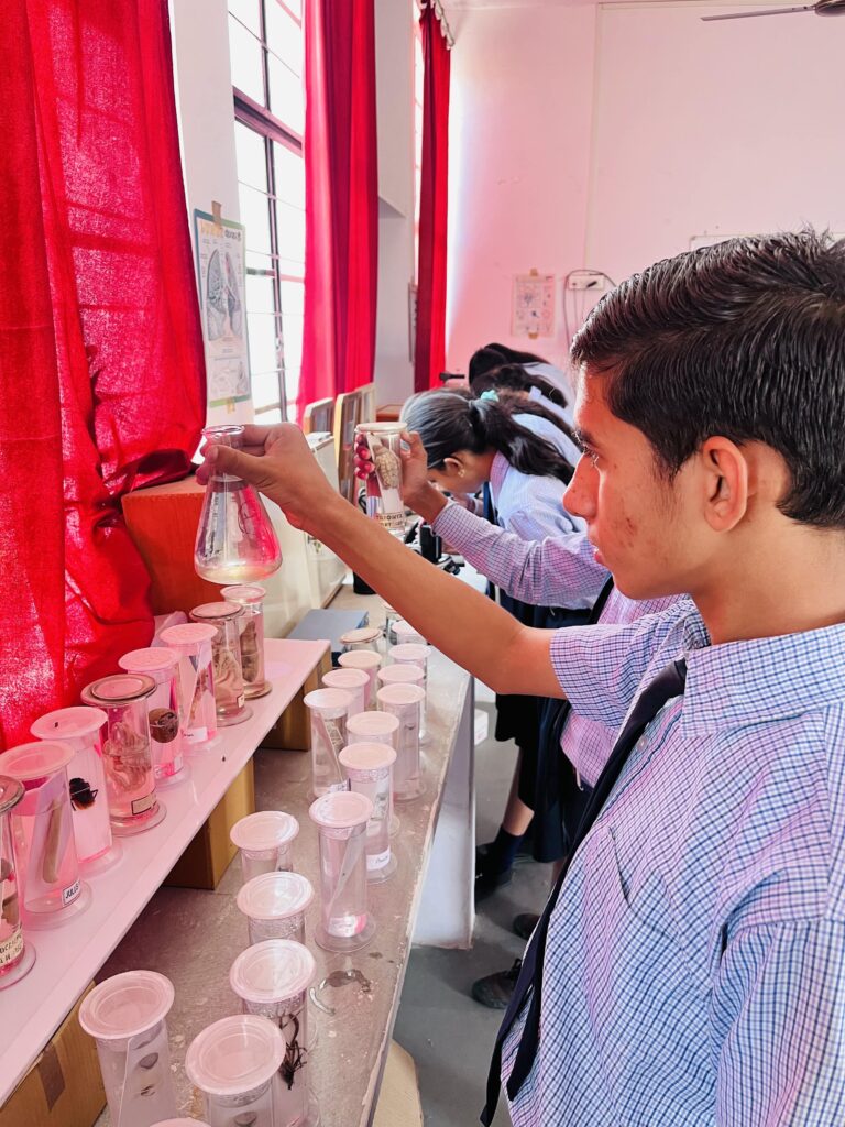 Lab program in trm school